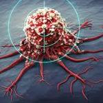 Andrew Jhonson