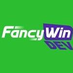 fancywin dev
