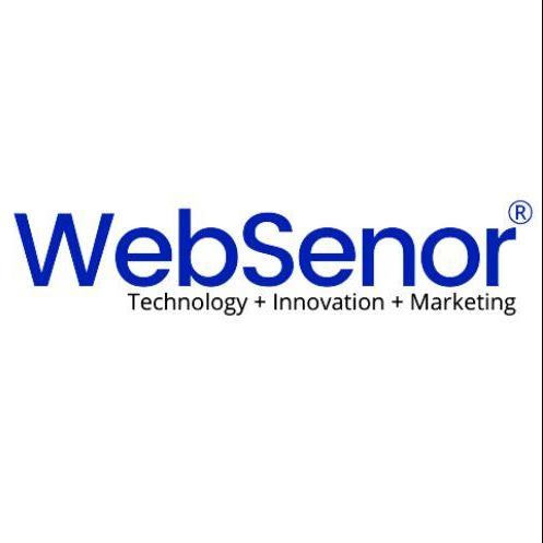 Websenor Web, Mobile App and Digital Marketing Company 