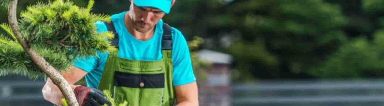 Arborist Huffman