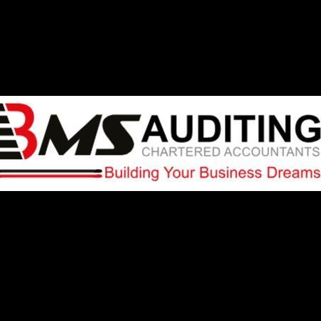 BMS Auditing