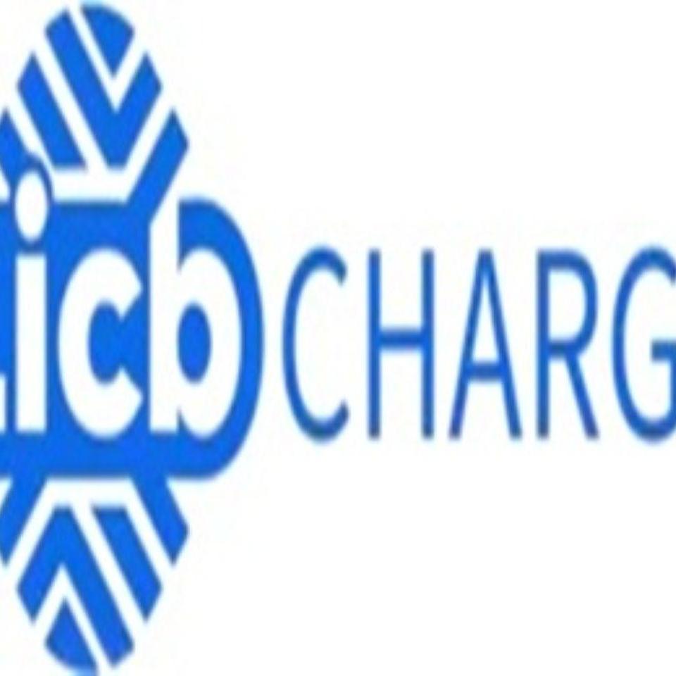 Lie Charger