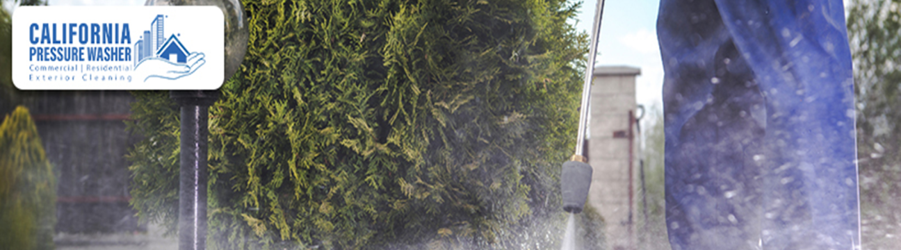  California Pressure  Washer