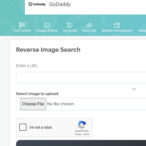 Googleimage Searchreverse