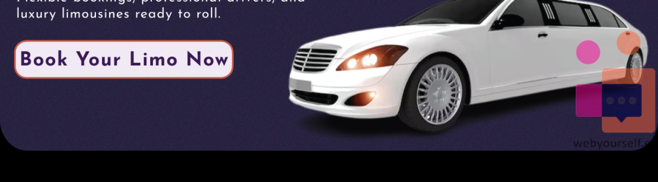 My First Limousine