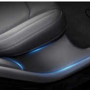 Tesla Gear