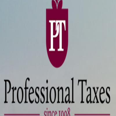 Professional  Taxes Inc