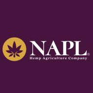 Napl Limited