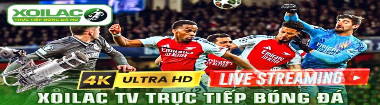 therobotbrains ai gia mao