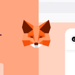 MetaMask Login