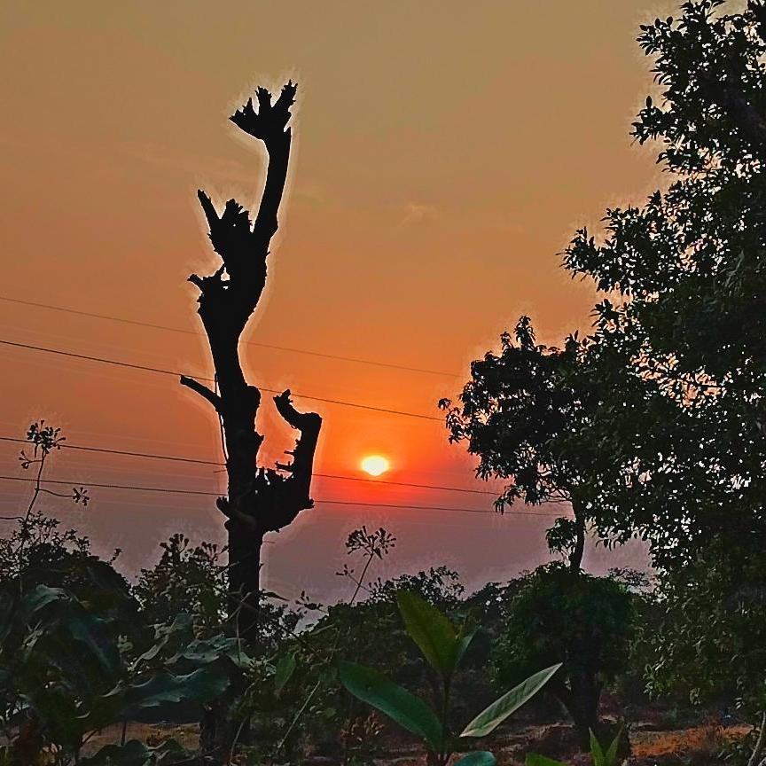 Sanket Khot