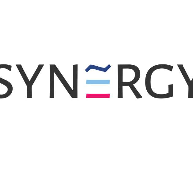 Synergy IT,