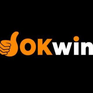 Okwin Domains