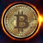 Cold Wallet