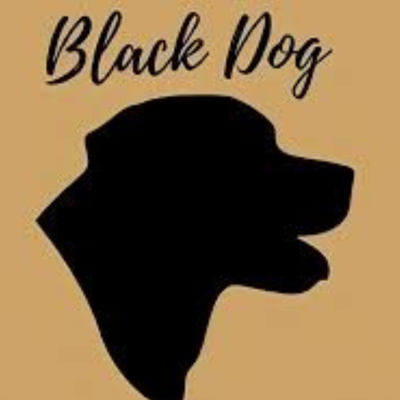 Black Dog Tinting  And Paint Protection Film