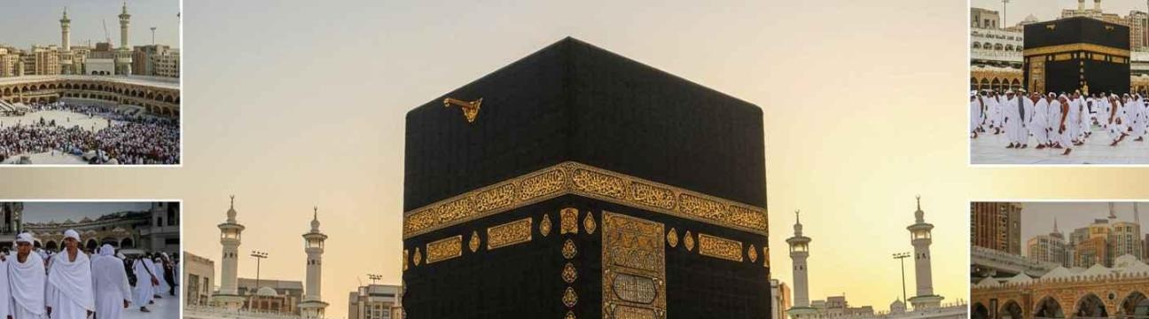 Majmua Travels