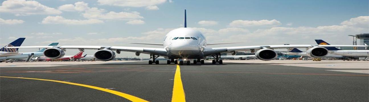 Moe's Airport  Transportation Service