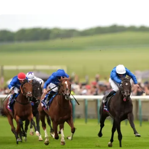 Premium Racingtips