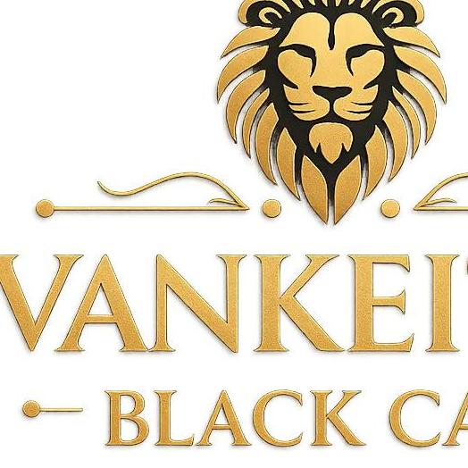 Vankeithblack Car
