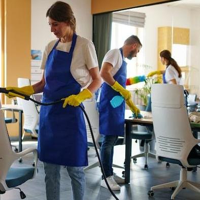 Alpinecleaning Services