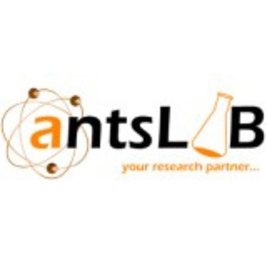 Ants  Lab