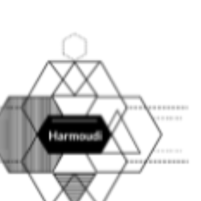 Harmoudi Contractor