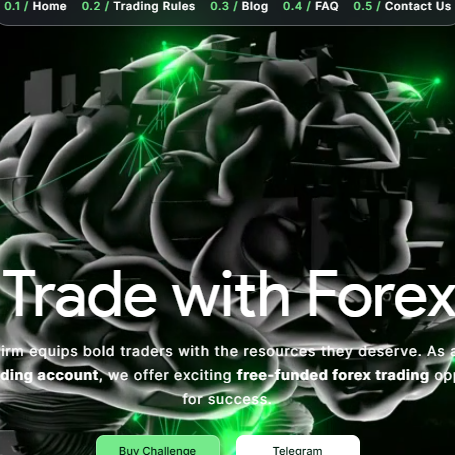 Fundedfirm Investor