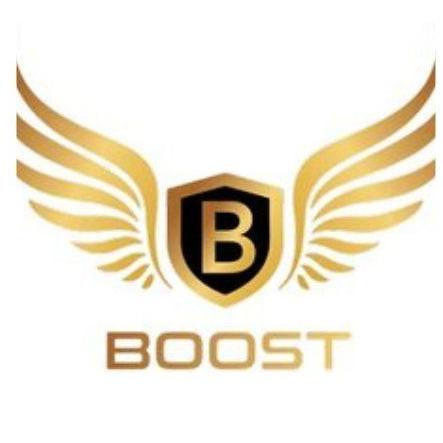 Boost Mobile Detailing