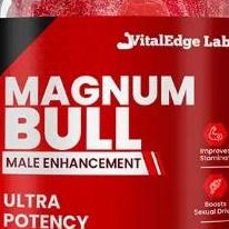 Magnum Bull