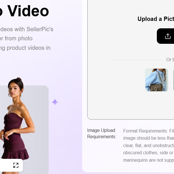 Image  To Video