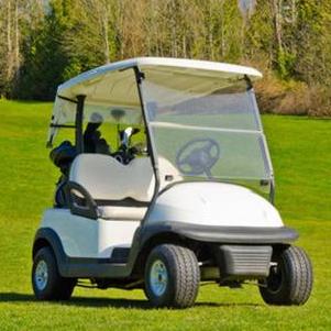 Golf Cart Gears