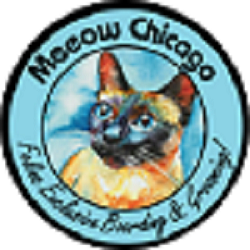 Meeow Chicago