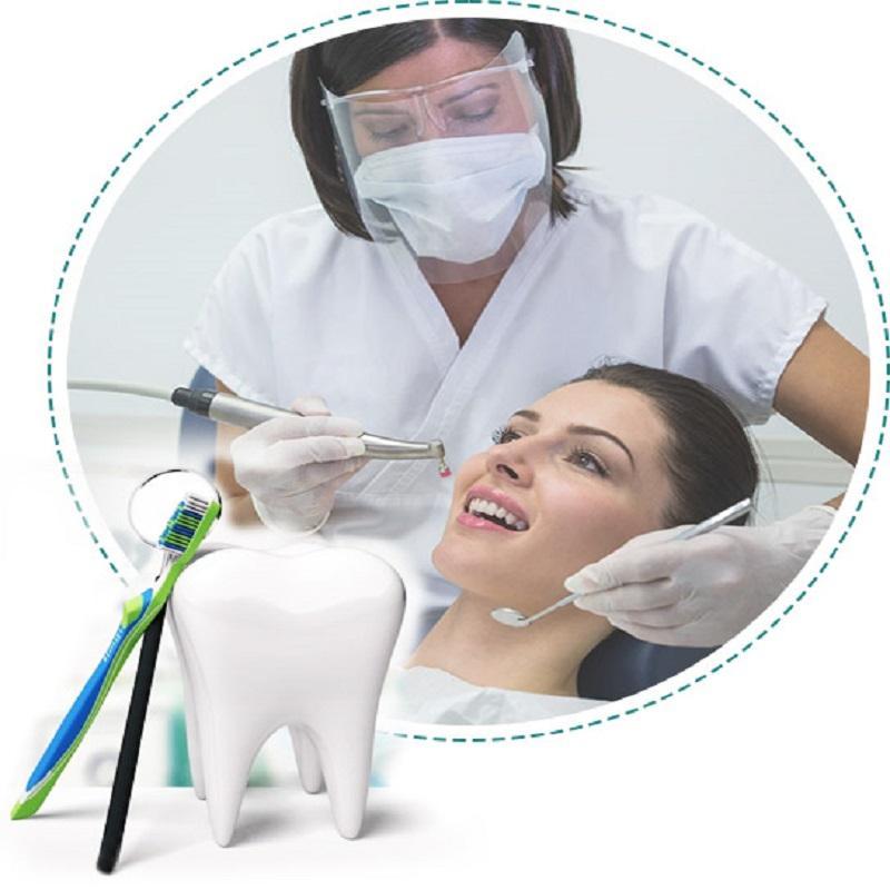 Traingle Primary Care Associates