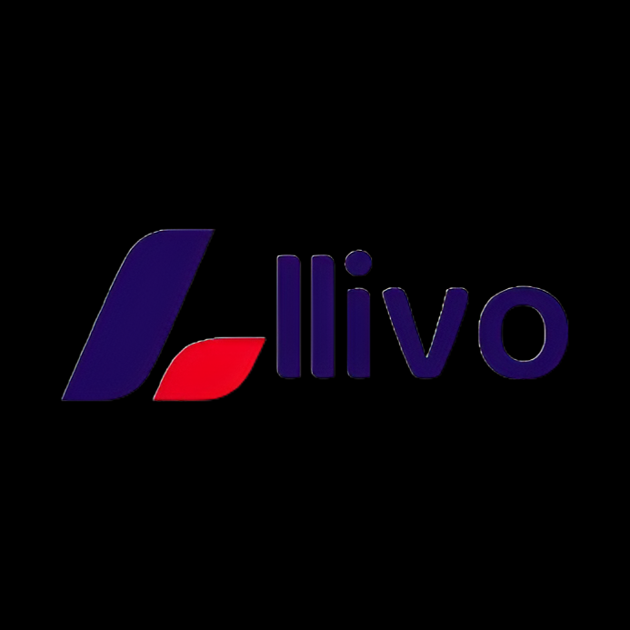 Llivo Team