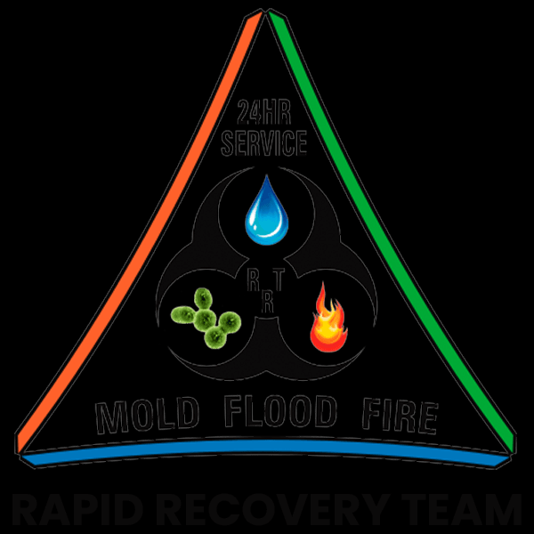 Rapid Recovery Team