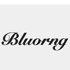 Bluorng Retail