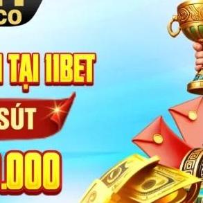 11bet1   Co