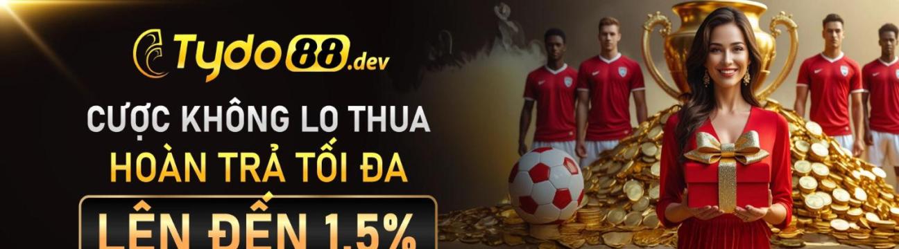 Nh&agrave; c&aacute;i TYDO88