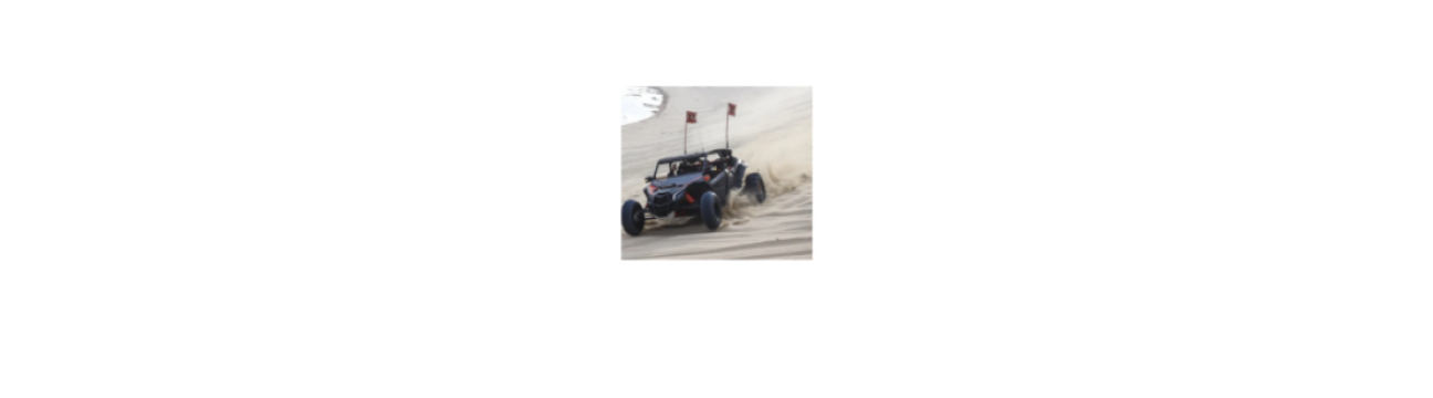  ESA Tours Dune Buggy Dubai