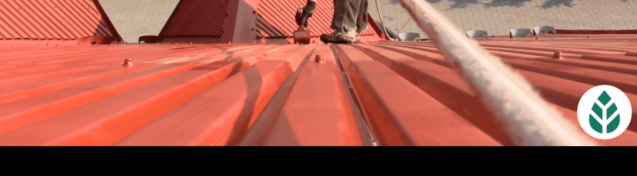 MI Roof Repair
