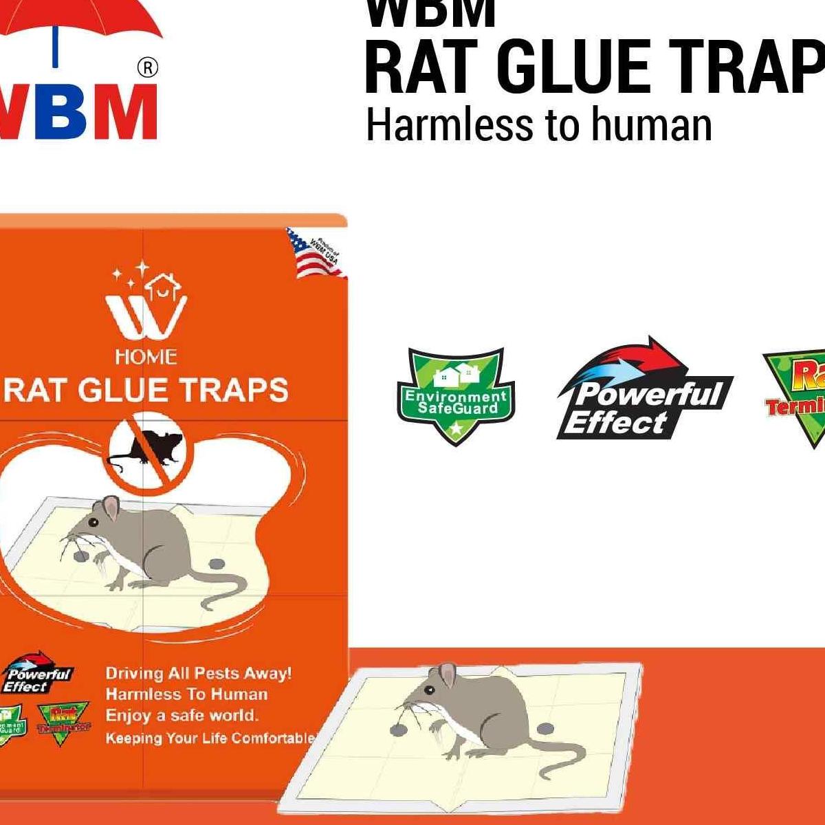 Rat  Killer Glue