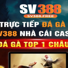 SV 388 Free