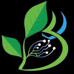 Bilva Leaf