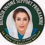 BISP Web  Portal 
