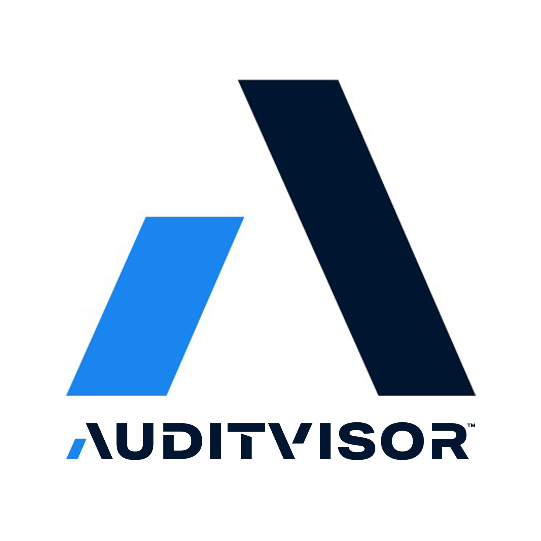 Audit Visor