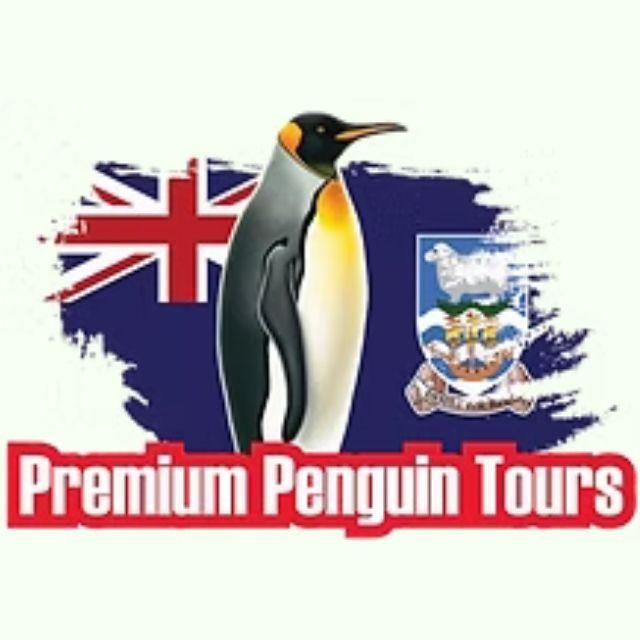 Falkland Premiumpenguintours