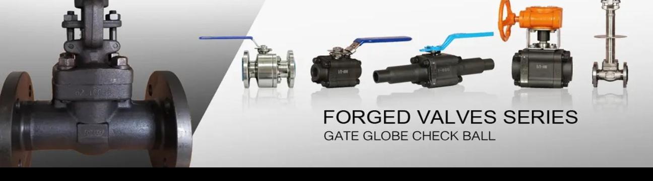 China Forged Valves