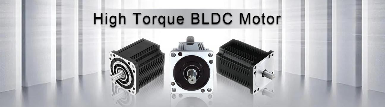 48V BLDC Motor
