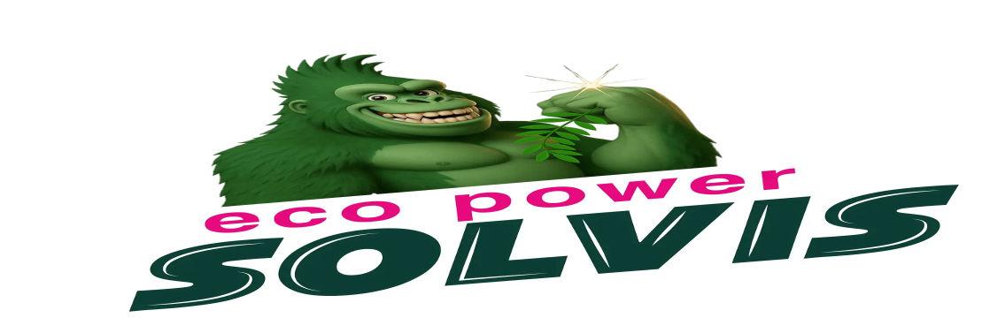 Solvis Ecopower