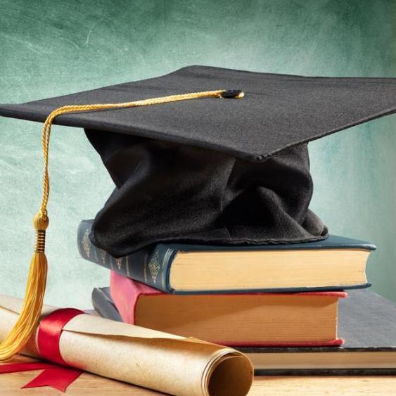 Education  Insights